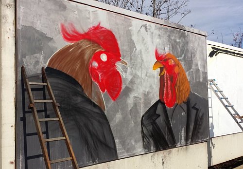 Cocks in Ostrava