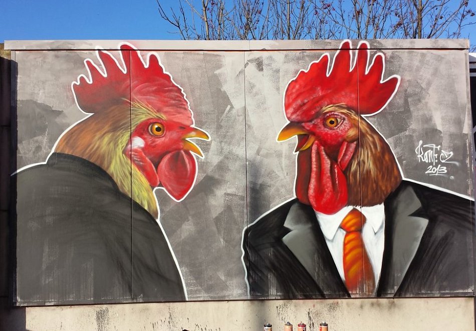 Cocks in Ostrava