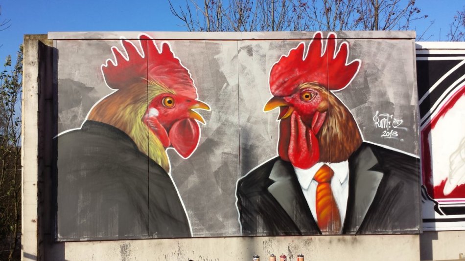 Cocks in Ostrava